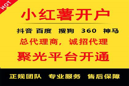 百度推广公司案例解析：如何利用大数据优化营销策略